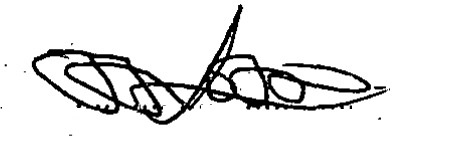 CEO Signature
